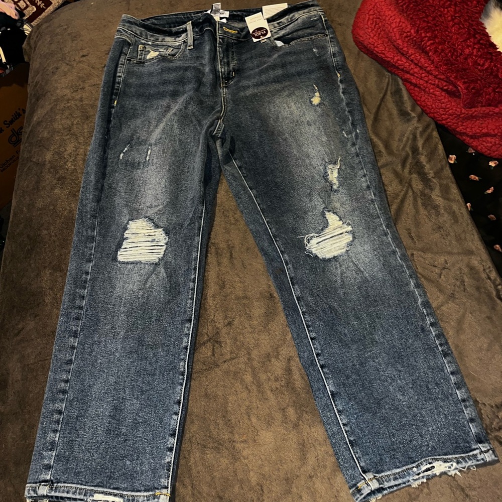 Lane Bryant Straight High-Rise Jeans